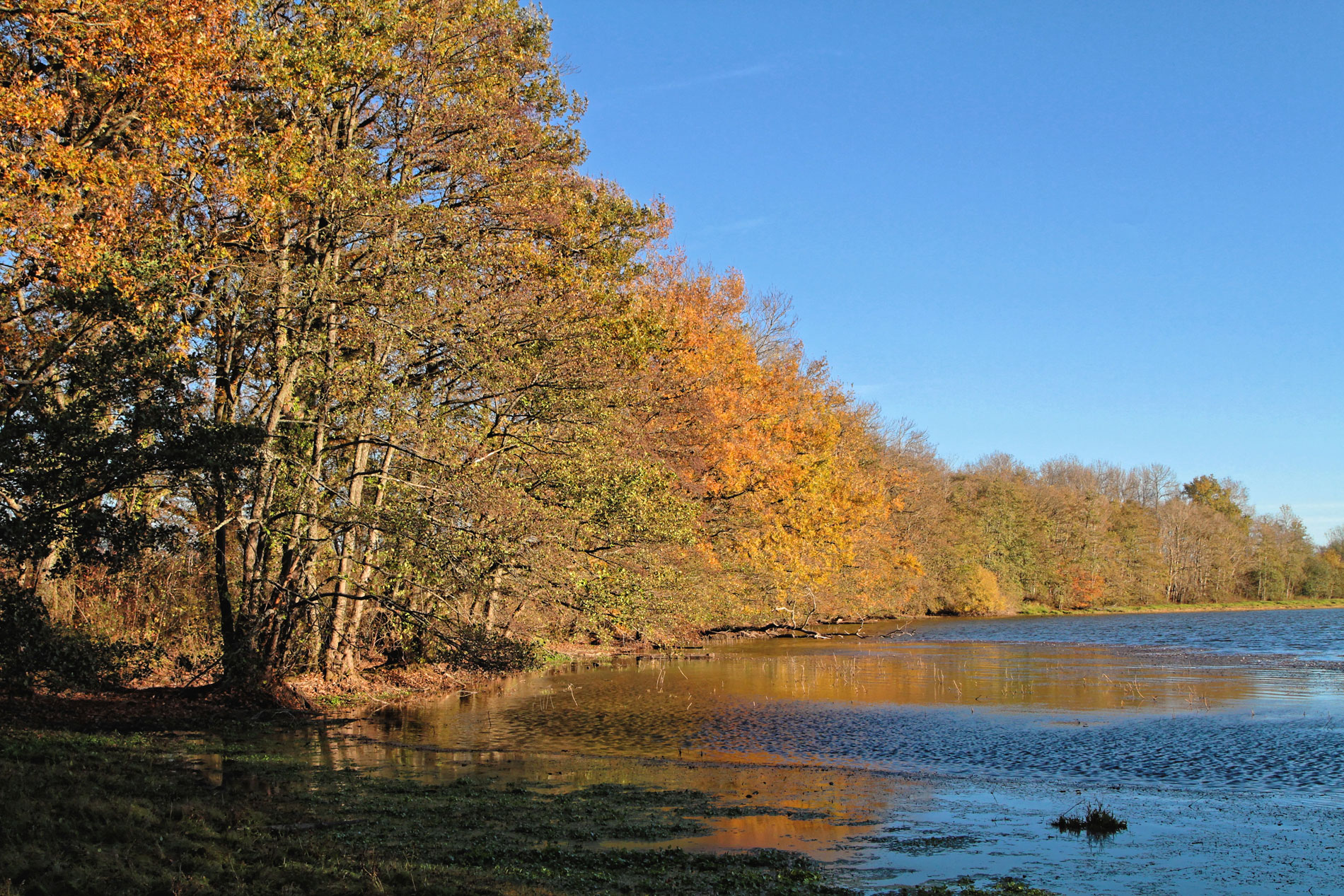 rse01 calendrier amberieux-en-dombes